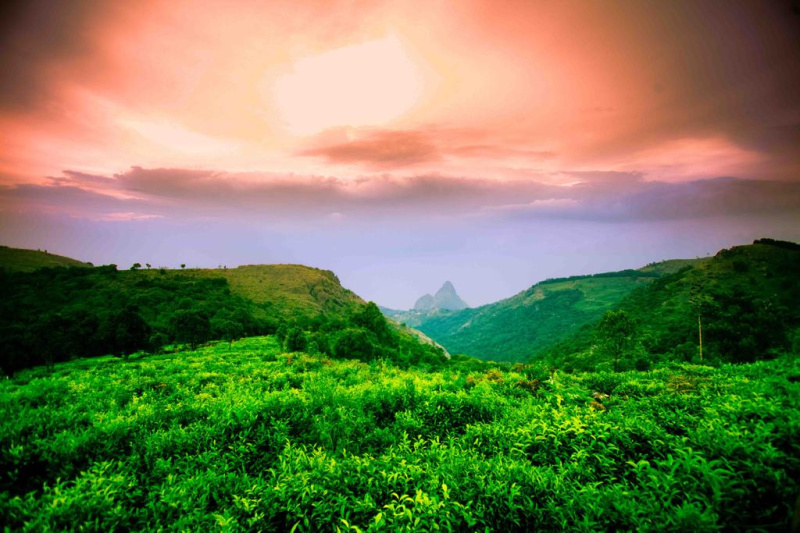  34 Acre Residential Plot for Sale in Kotagiri, Nilgiris