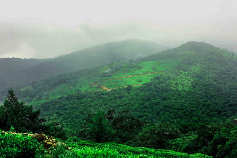  34 Acre Residential Plot for Sale in Kotagiri, Nilgiris