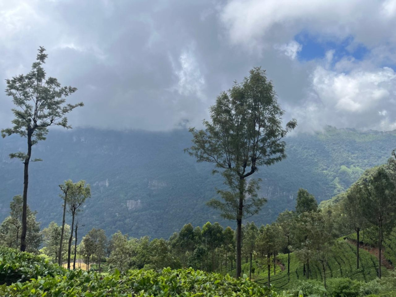  26 Acre Residential Plot for Sale in Coonoor, Nilgiris