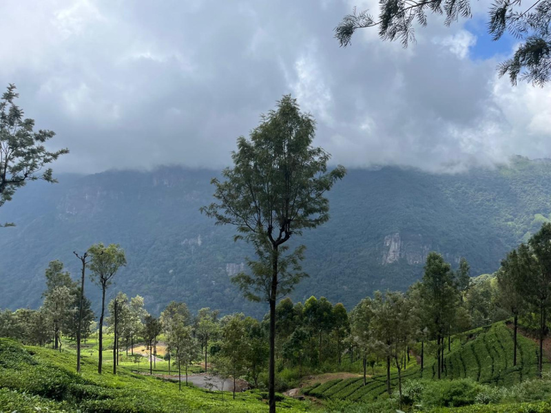  26 Acre Residential Plot for Sale in Coonoor, Nilgiris