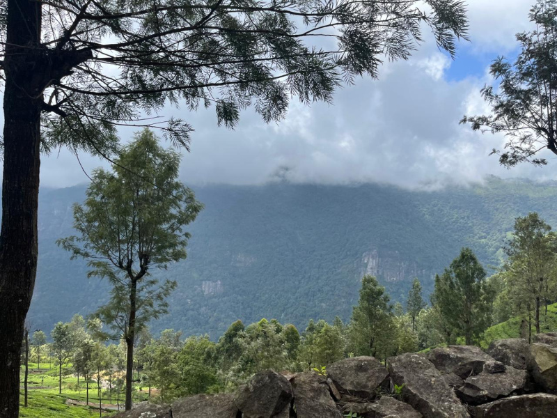  26 Acre Residential Plot for Sale in Coonoor, Nilgiris