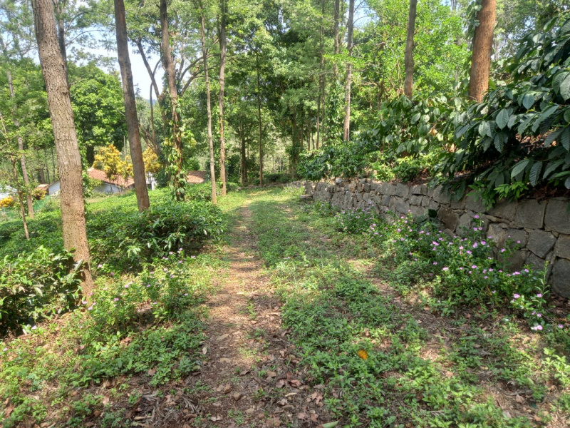  40 Acre Residential Plot for Sale in Mettupalayam Coimbatore