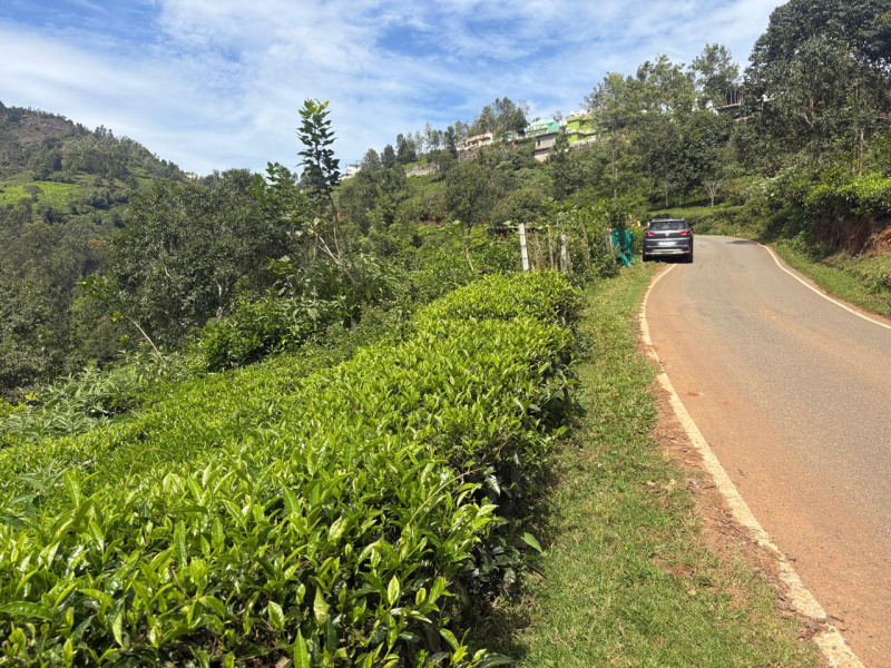  13 Cent Residential Plot for Sale in Coonoor, Nilgiris