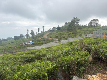  Residential Plot for Sale in Balacola, Ooty