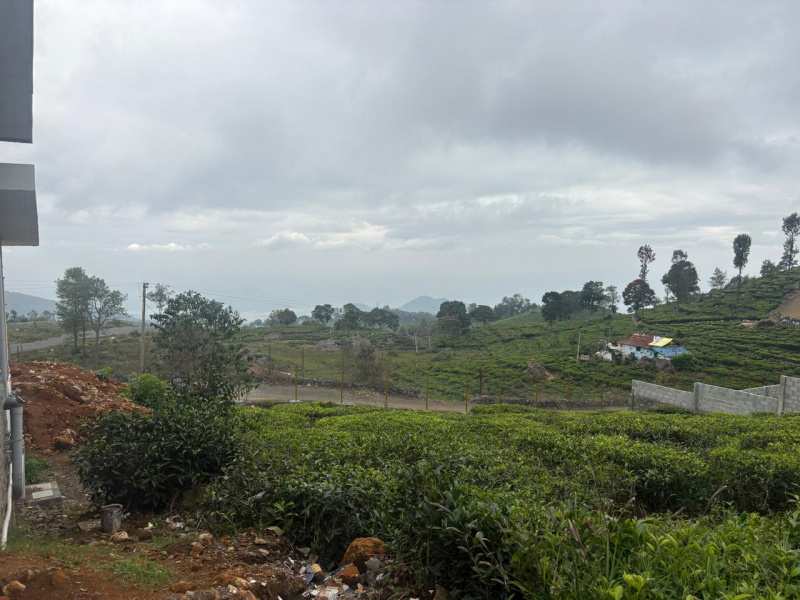  5 Acre Residential Plot for Sale in Balacola, Ooty