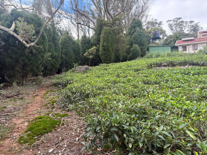  58 Cent Residential Plot for Sale in Coonoor, Nilgiris