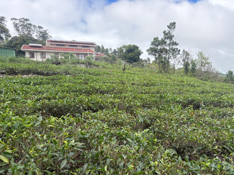  58 Cent Residential Plot for Sale in Coonoor, Nilgiris