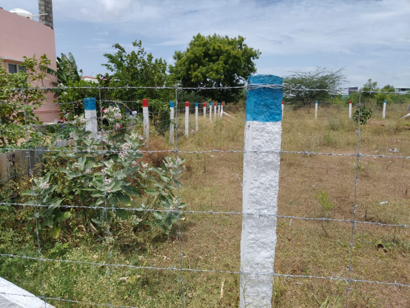  11 Cent Residential Plot for Sale in Vilankurichi, Coimbatore