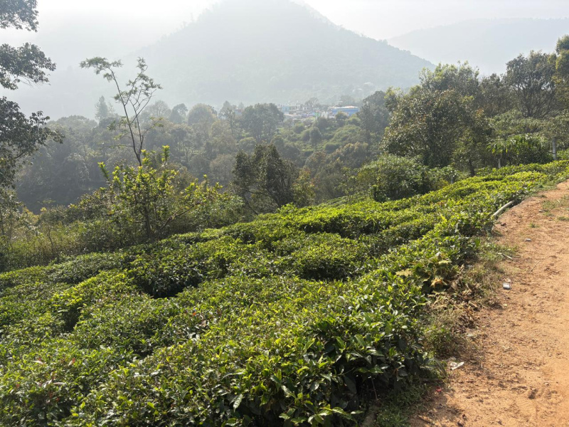  9 Cent Residential Plot for Sale in Coonoor, Nilgiris