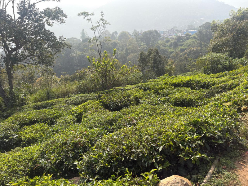  9 Cent Residential Plot for Sale in Coonoor, Nilgiris