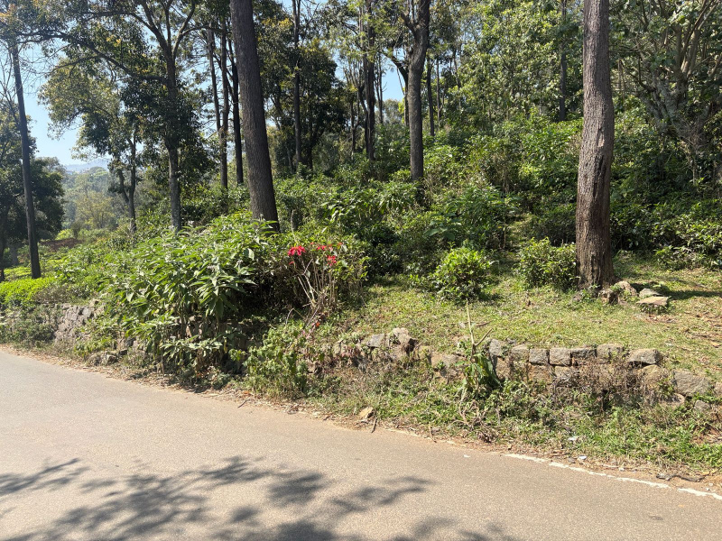  2 Acre Residential Plot for Sale in Coonoor, Nilgiris