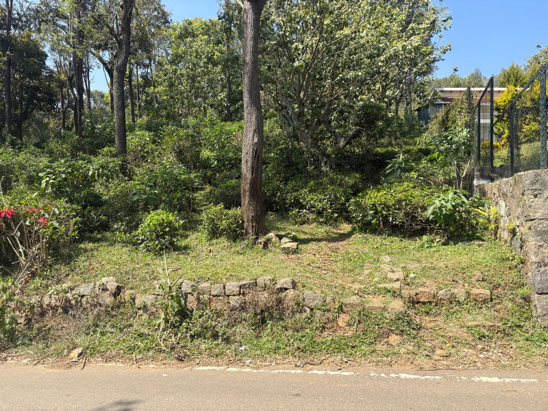  2 Acre Residential Plot for Sale in Coonoor, Nilgiris