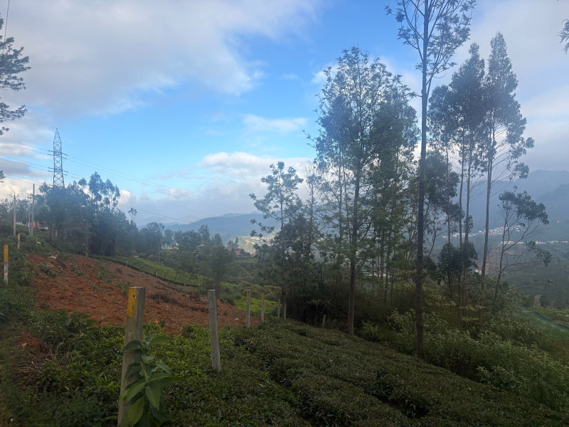  23 Cent Residential Plot for Sale in Kotagiri, Nilgiris