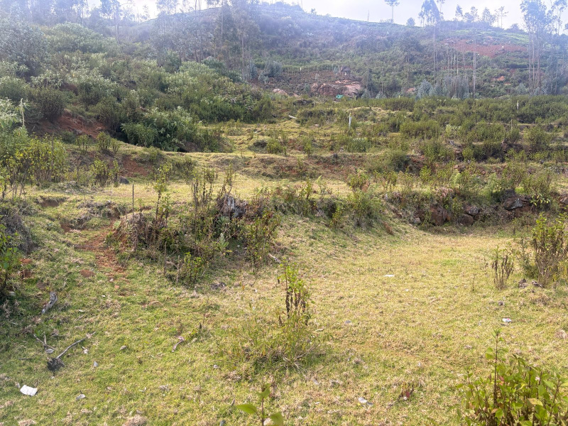  29 Cent Residential Plot for Sale in Kotagiri, Nilgiris