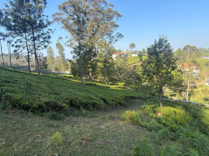  1 Acre Residential Plot for Sale in Coonoor, Nilgiris