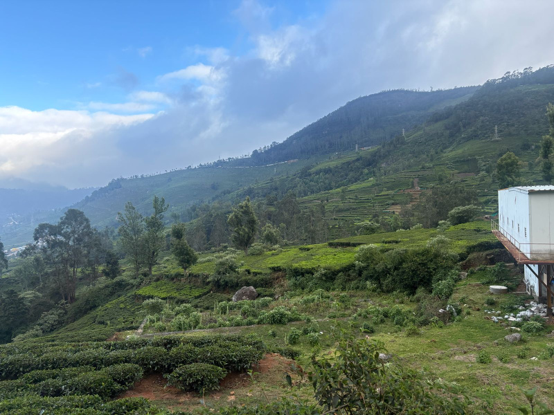  34 Cent Residential Plot for Sale in Kotagiri, Nilgiris