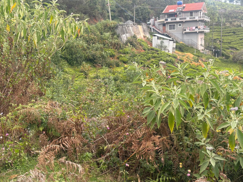  40 Cent Residential Plot for Sale in Coonoor, Nilgiris