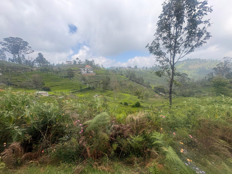  40 Cent Residential Plot for Sale in Coonoor, Nilgiris