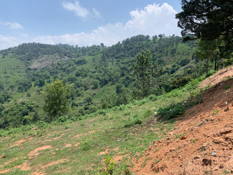  3 Acre Residential Plot for Sale in Kotagiri, Nilgiris