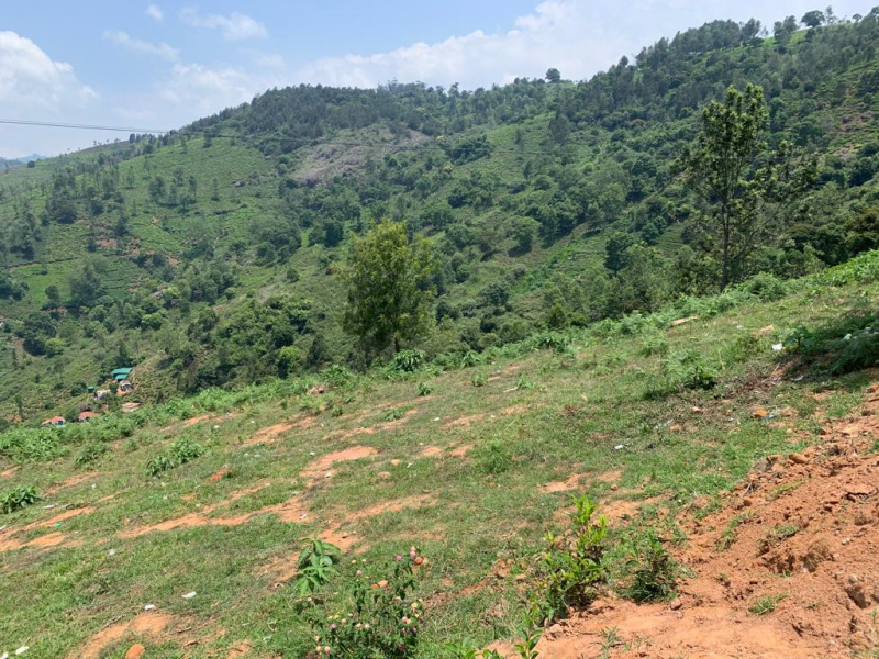 3 Acre Residential Plot for Sale in Kotagiri, Nilgiris