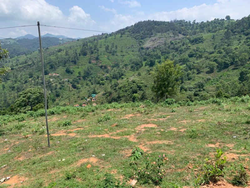  3 Acre Residential Plot for Sale in Kotagiri, Nilgiris