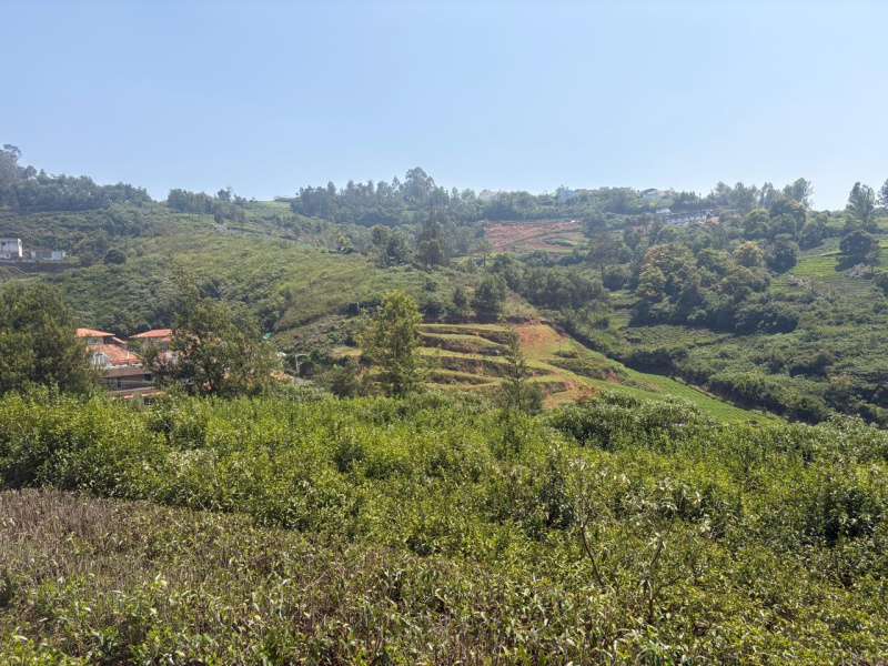  30 Cent Residential Plot for Sale in Coonoor, Ooty
