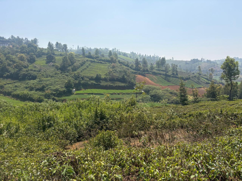  30 Cent Residential Plot for Sale in Coonoor, Ooty