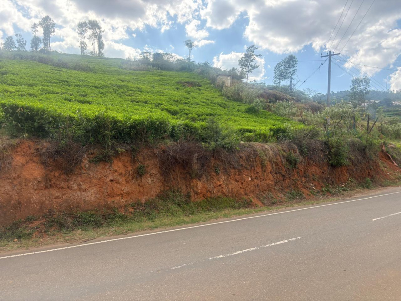  47 Cent Residential Plot for Sale in Kotagiri, Nilgiris