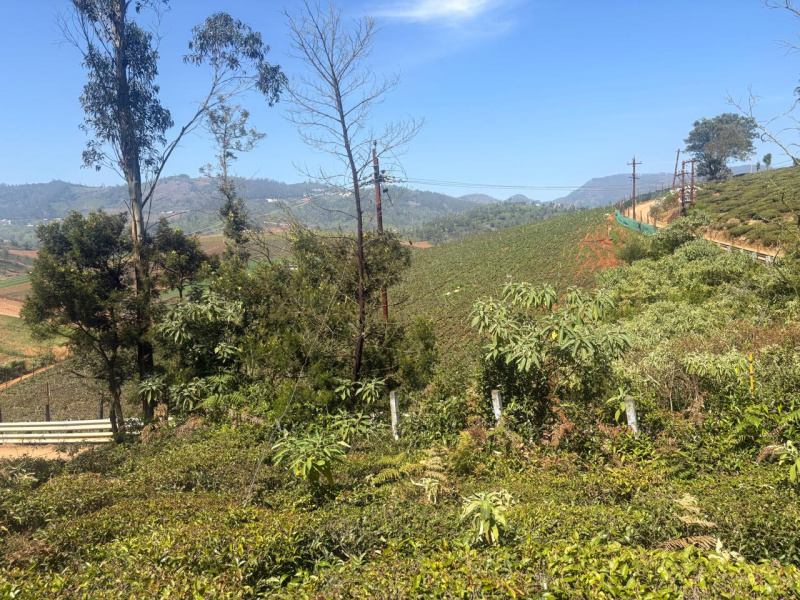  1 Acre Residential Plot for Sale in Adikaratti, Nilgiris
