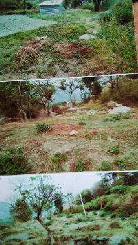  Agricultural Land for Sale in Joginder Nagar, Mandi