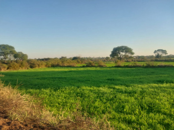  Agricultural Land for Sale in Panagar, Jabalpur