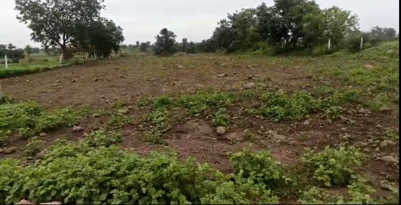  Agricultural Land 7018 Sq. Yards for Sale in Kodangal, Vikarabad