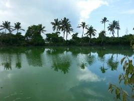  Commercial Land for Sale in Alleppey, Alappuzha