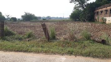  Agricultural Land for Rent in Pattamundai, Kendrapara