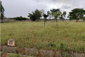  Residential Plot for Sale in Sarjapur, Bangalore