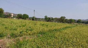  Agricultural Land for Sale in Bogaram, Hyderabad