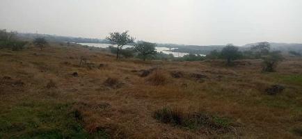  Agricultural Land for Sale in Tasgaon, Sangli