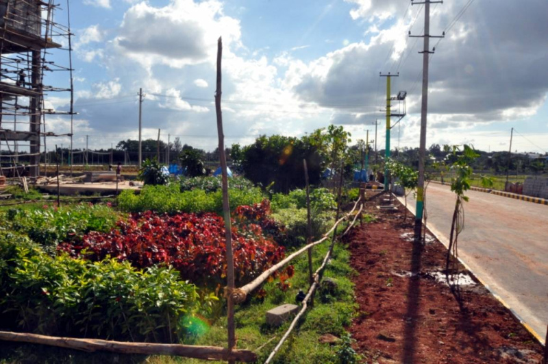  Residential Plot 1200 Sq.ft. for Sale in Jigani, Bangalore