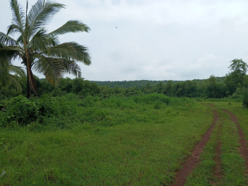  Agricultural Land for Sale in Mandangad, Ratnagiri