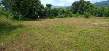  Agricultural Land for Sale in Mangaon, Raigad