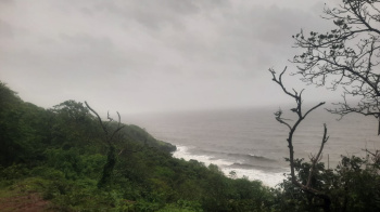  Agricultural Land for Sale in Rajapur, Ratnagiri