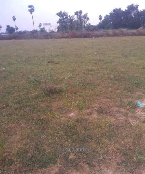  Residential Plot 3271 Sq.ft. for Sale in Gingee, Villupuram