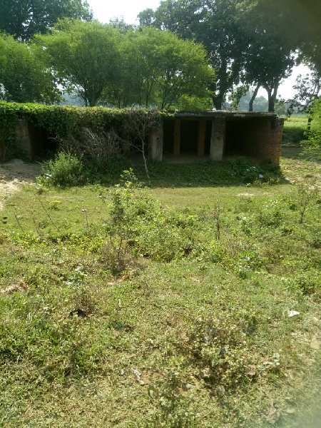  Residential Plot 1395 Sq.ft. for Sale in Karari, Kaushambi