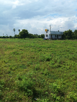  Residential Plot for Sale in Veppampattu, Chennai