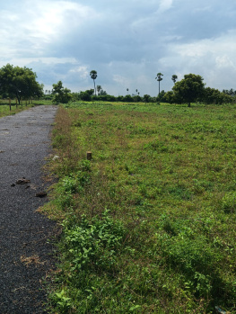  Residential Plot for Sale in Veppampattu, Thiruvallur