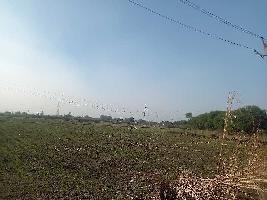  Agricultural Land for Sale in Dudhola, Palwal