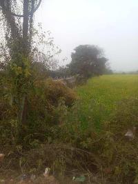 Commercial Land for Sale in Palwal, Faridabad