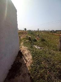  Agricultural Land for Sale in Hassanpur, Palwal