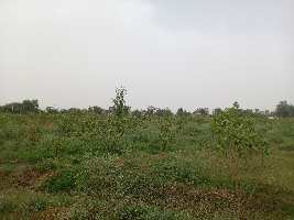  Agricultural Land for Sale in Palwal, Faridabad