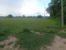  Agricultural Land for Sale in Teekri Brahman, Palwal